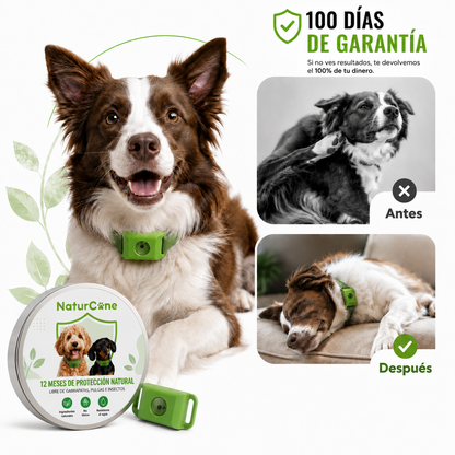 Colgante NaturCane™ SmartRelease Anti Pulgas y Garrapatas
